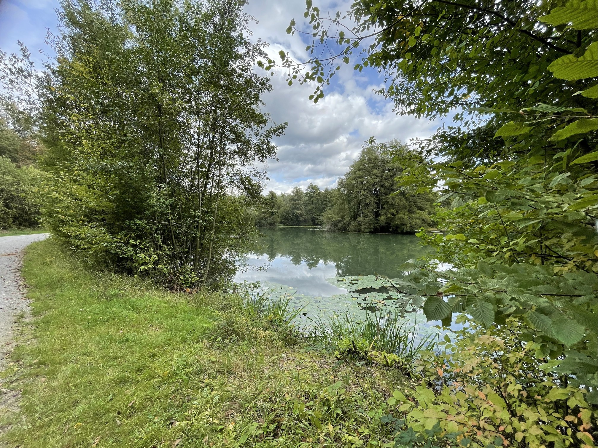 See mit Waldpanorama