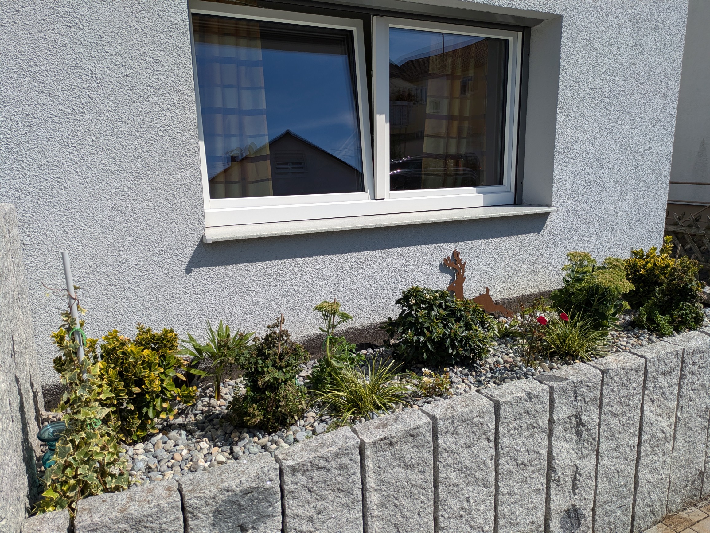 Außenansicht Blumenbeet